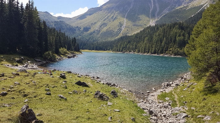 Landscape water nature forest Photo