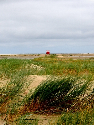 Beach landscape sea coast Photo