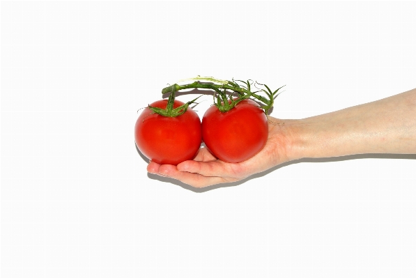 Plant woman white fruit Photo