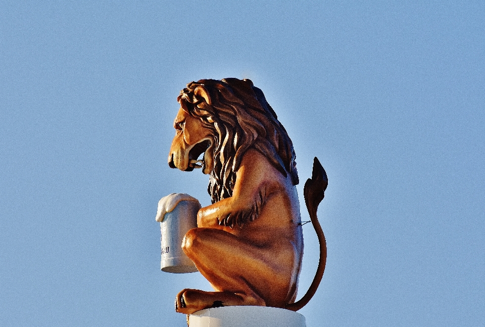 Statue mammal lion beer