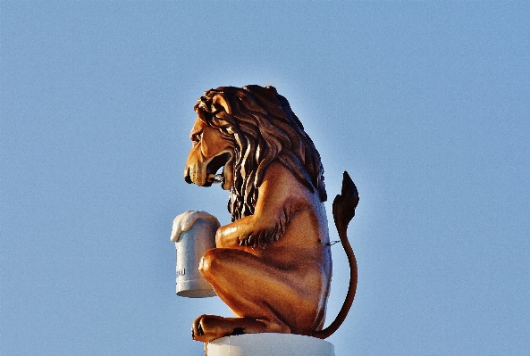 Statue mammal lion beer Photo