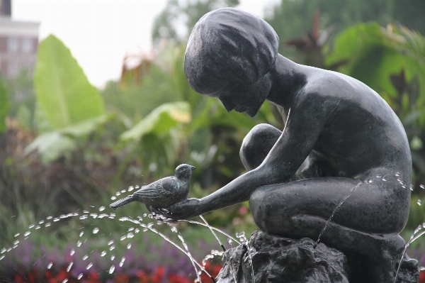 Photo Oiseau monument statue jungle