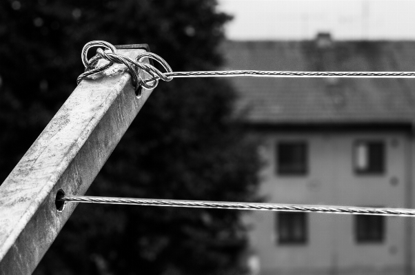 Outdoor fence barbed wire black and white Photo