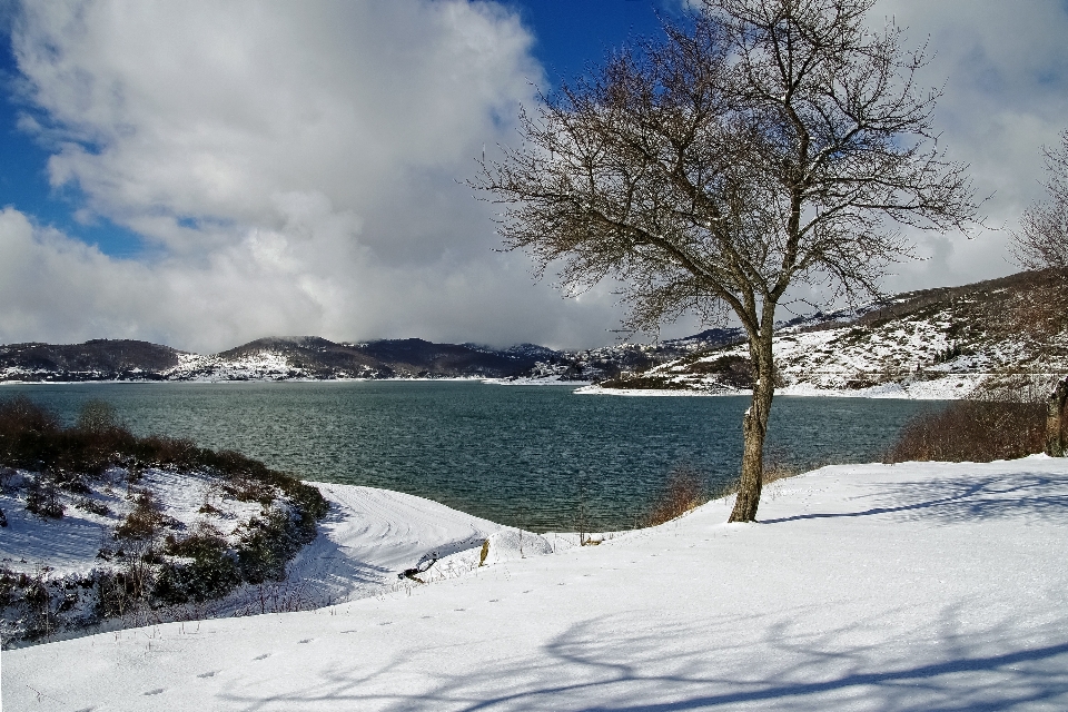 Paisagem mar árvore montanha