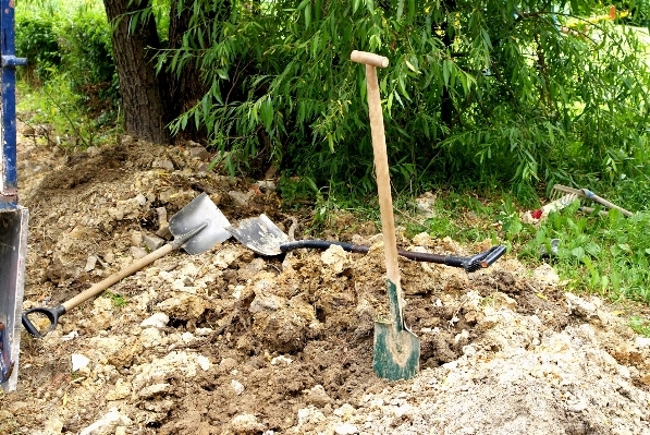 Work tree nature foliage Photo