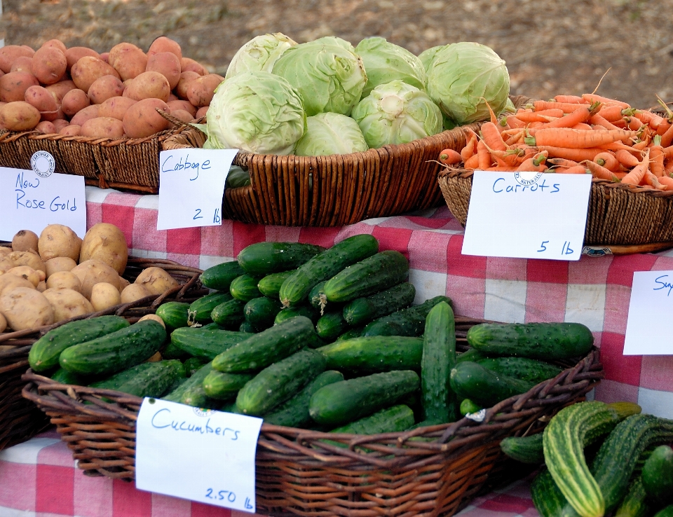 Città negozio pasto cibo