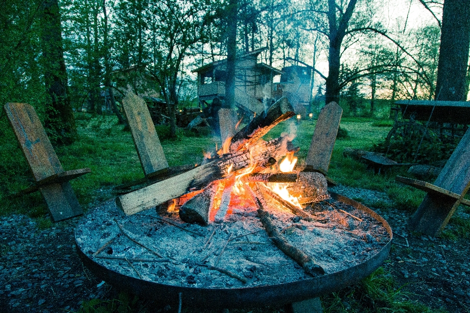 Hutan luar ruangan musim panas kolam