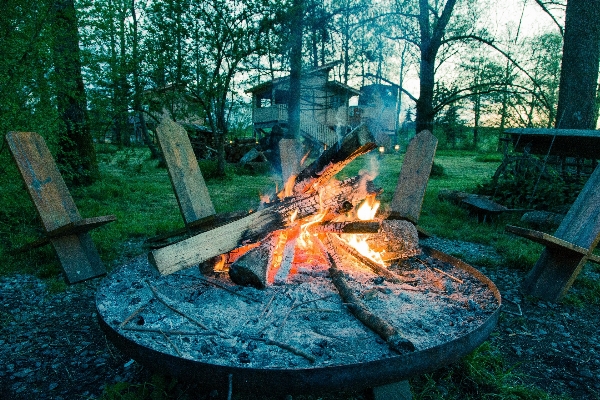 Forest outdoor summer pond Photo