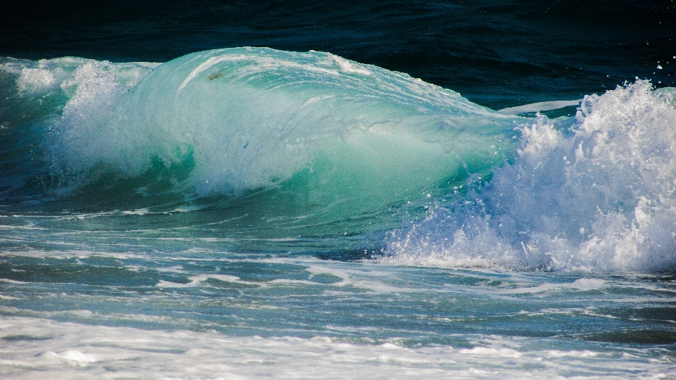 Beach sea coast nature