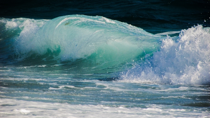 Beach sea coast nature Photo