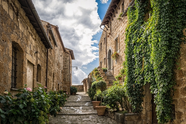 Architecture road street flower Photo