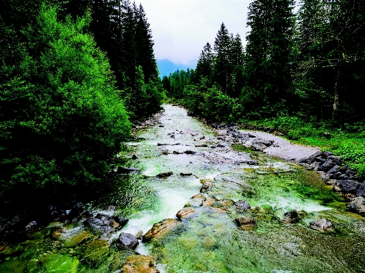 Landscape tree water nature Photo