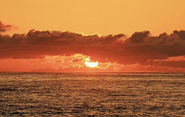 Beach sea coast ocean Photo