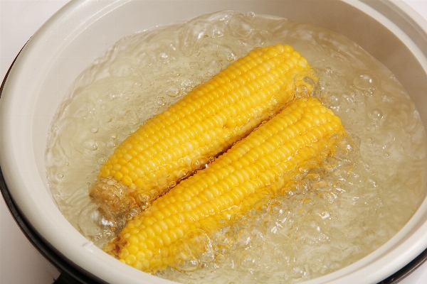 皿 食べ物 料理 生産 写真