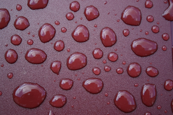 Water texture rain petal Photo