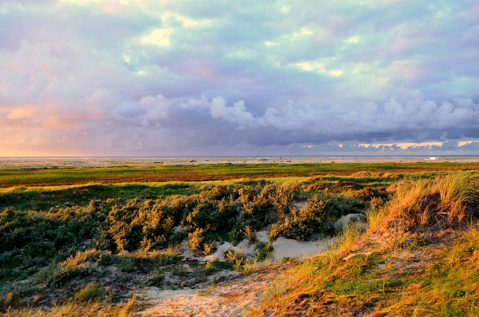 Pantai lanskap laut pesisir