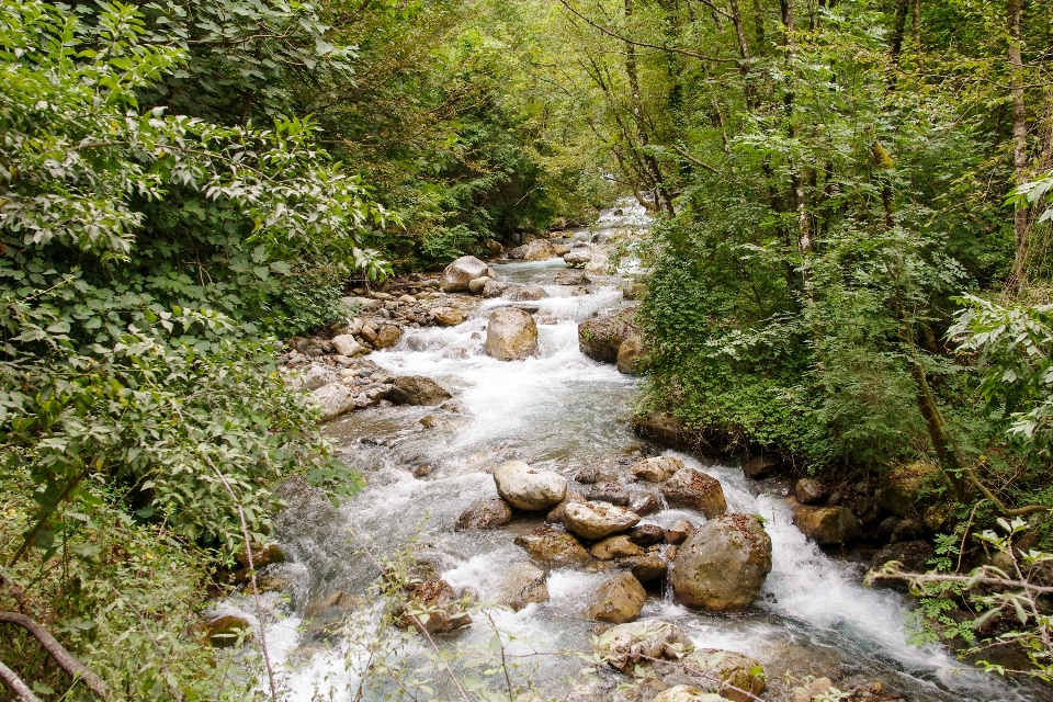 água natureza floresta cachoeira