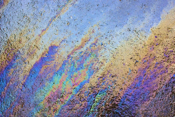 Foto Acqua cielo struttura fiore