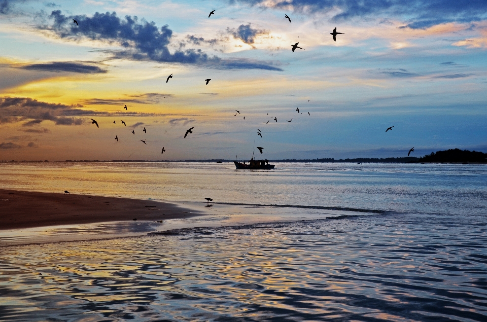 ビーチ 風景 海 海岸