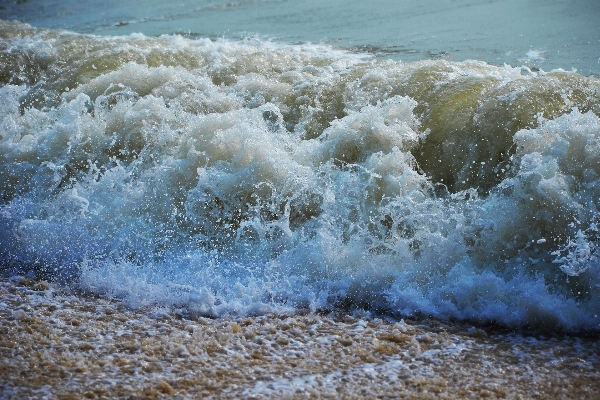 Beach sea coast water Photo