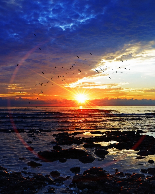 Beach landscape sea coast