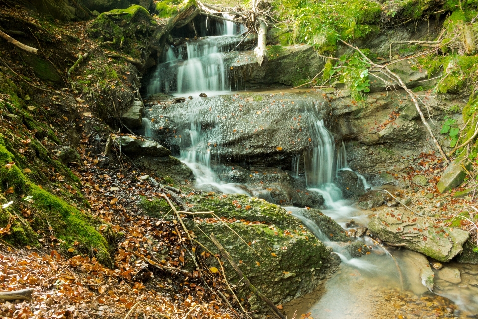 水 自然 森 rock