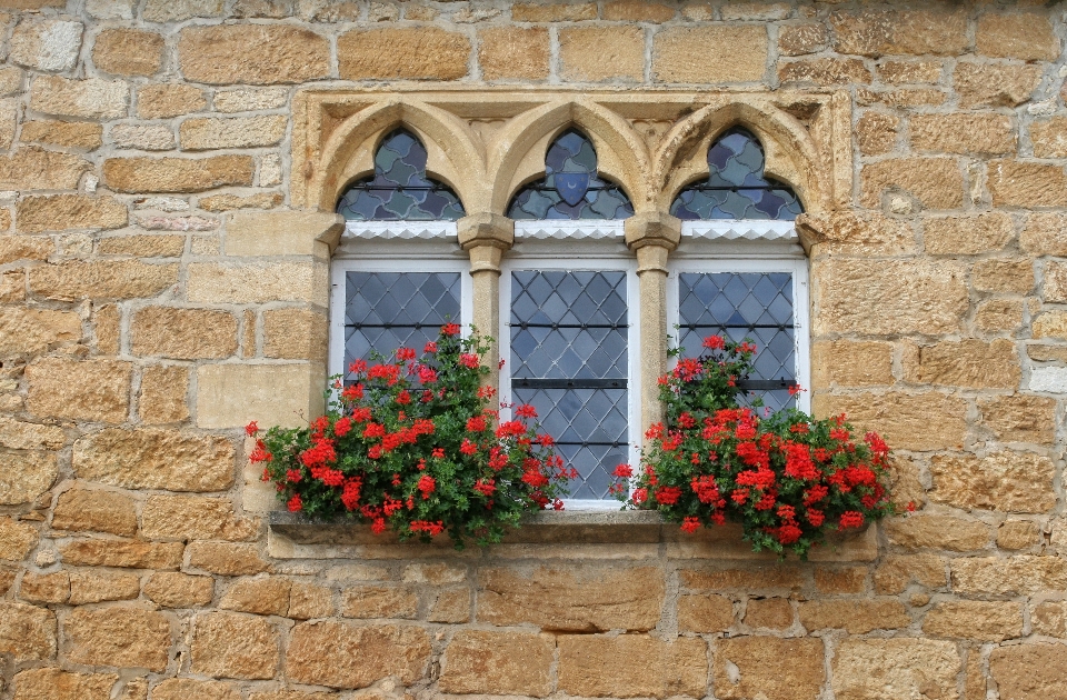 Die architektur blume fenster wand