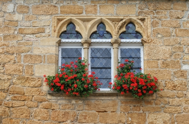 Architecture flower window wall Photo