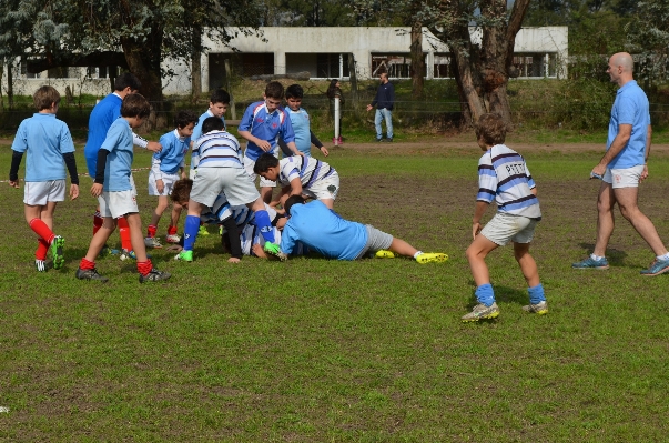 Game play youth soccer Photo