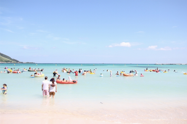 ビーチ 海 海岸 砂 写真