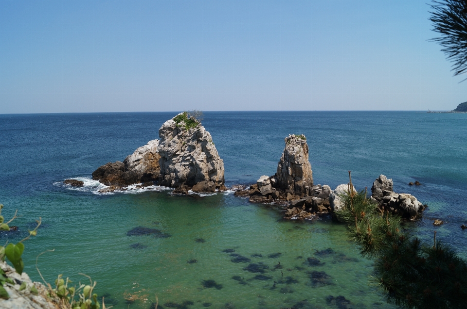 Praia paisagem mar costa