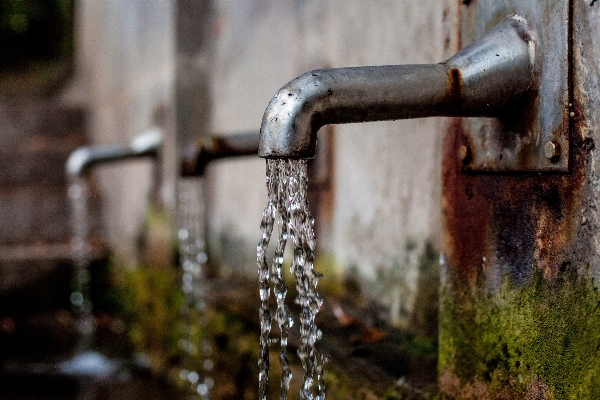 Tree water fountain cool Photo