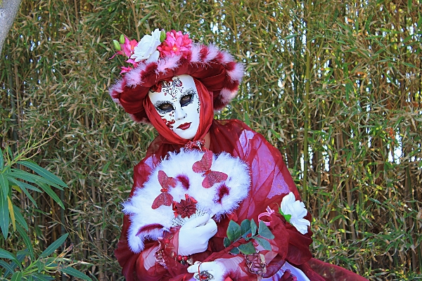 People flower red carnival Photo