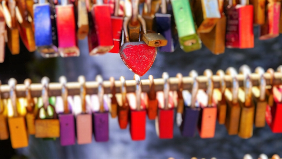 Pont aimer nourriture couleur