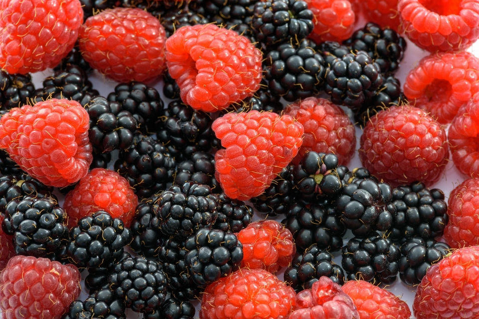 Plant raspberry fruit berry