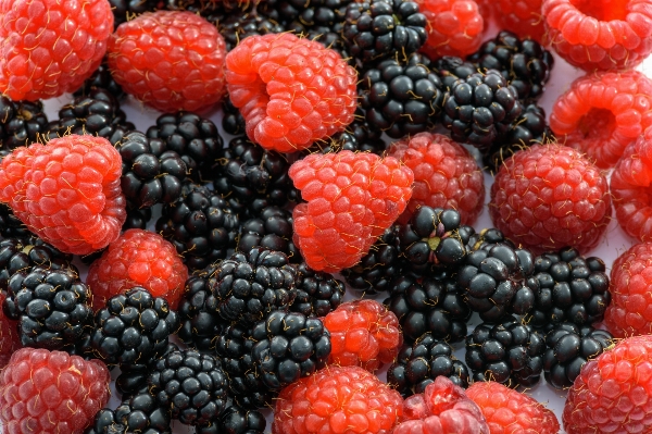 Plant raspberry fruit berry Photo