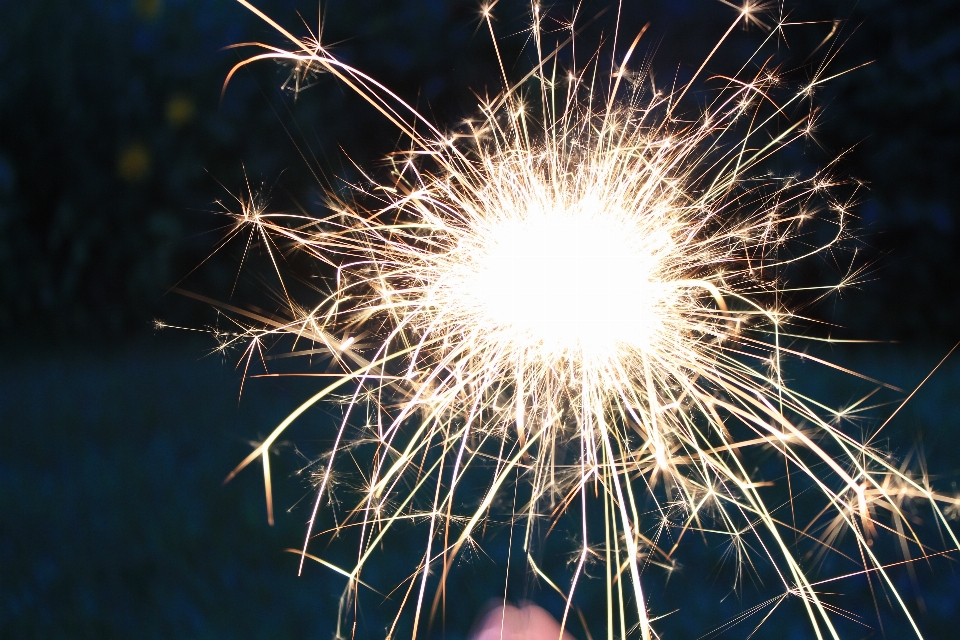 Pissenlit fleur cierge magique feu