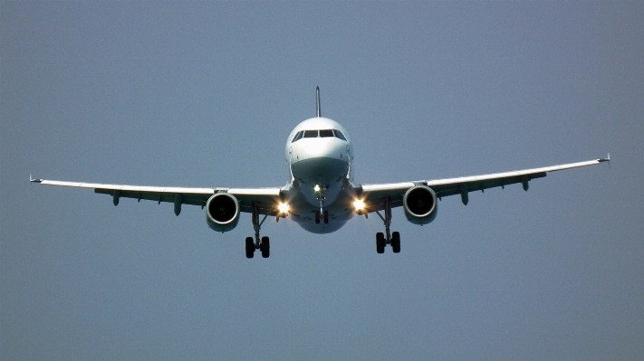 羽 空 飛ぶ 飛行機 写真