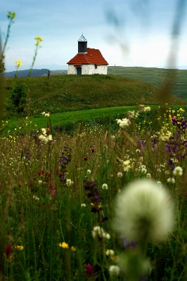 Landscape nature grass outdoor Photo