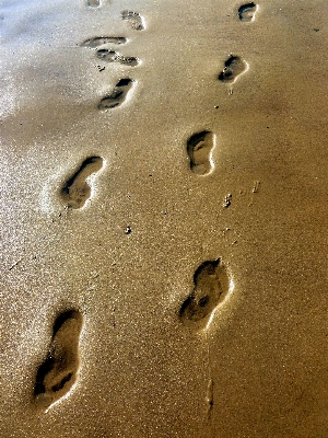 Foto Praia paisagem natureza areia