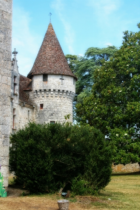 Albero edificio chateau
 francia