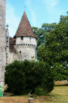 Tree building chateau france Photo