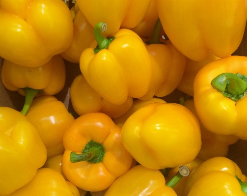 植物 フルーツ 花 食べ物 写真