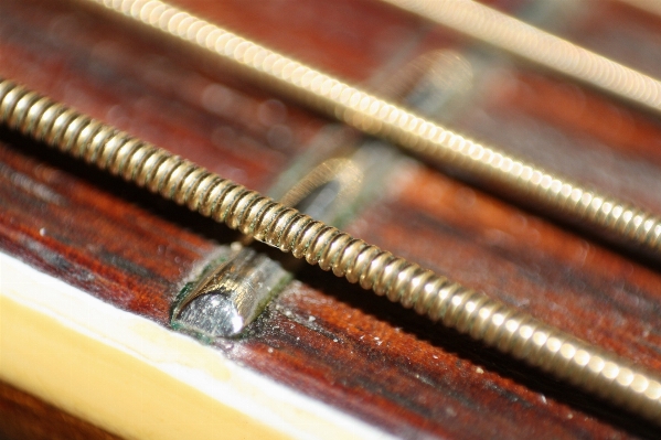 Guitar string acoustic macro Photo