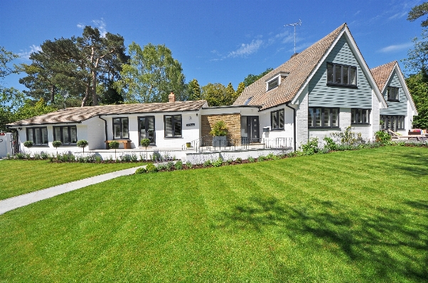 Grass architecture farm lawn Photo