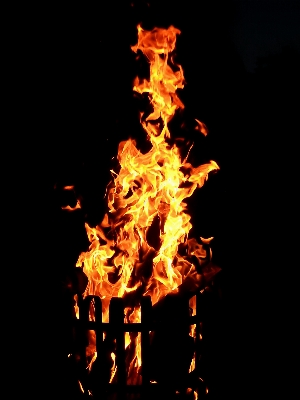 Sparkler bbq flame fire Photo