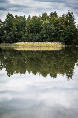 Landscape tree water nature Photo