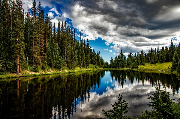 Landscape tree water nature Photo