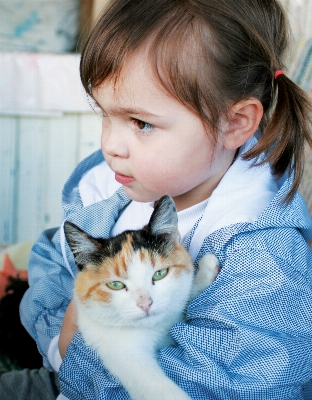 Foto Persona ragazza animale gattino