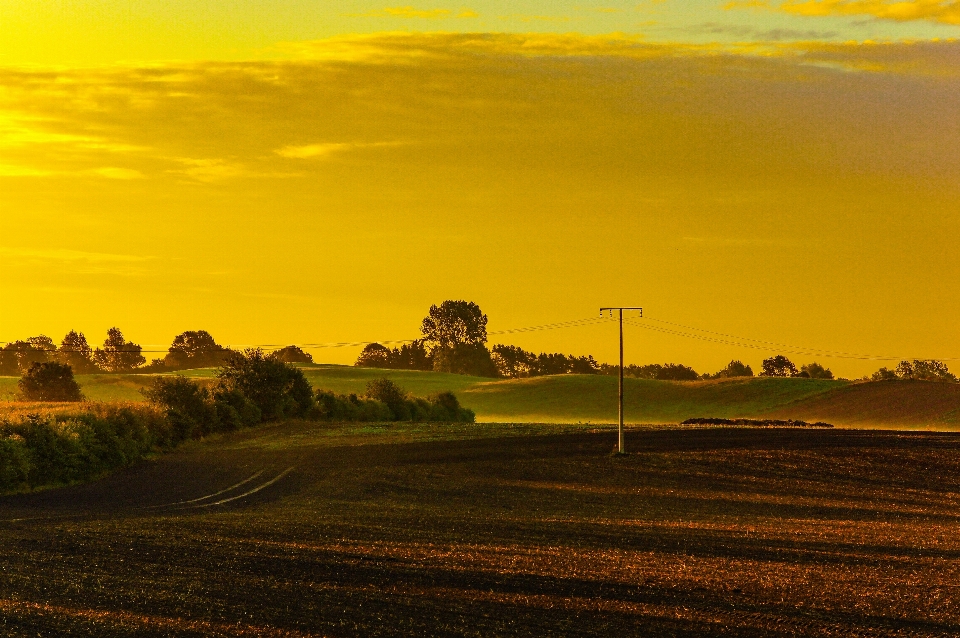 Landscape nature forest horizon